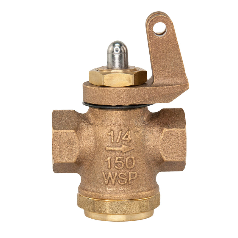 Load image into Gallery viewer, Bronze Whistle Valve 150 WSP 1/4" NPT (STEAM)