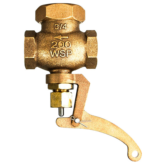 Bronze Steam Whistle Valve 200 WSP